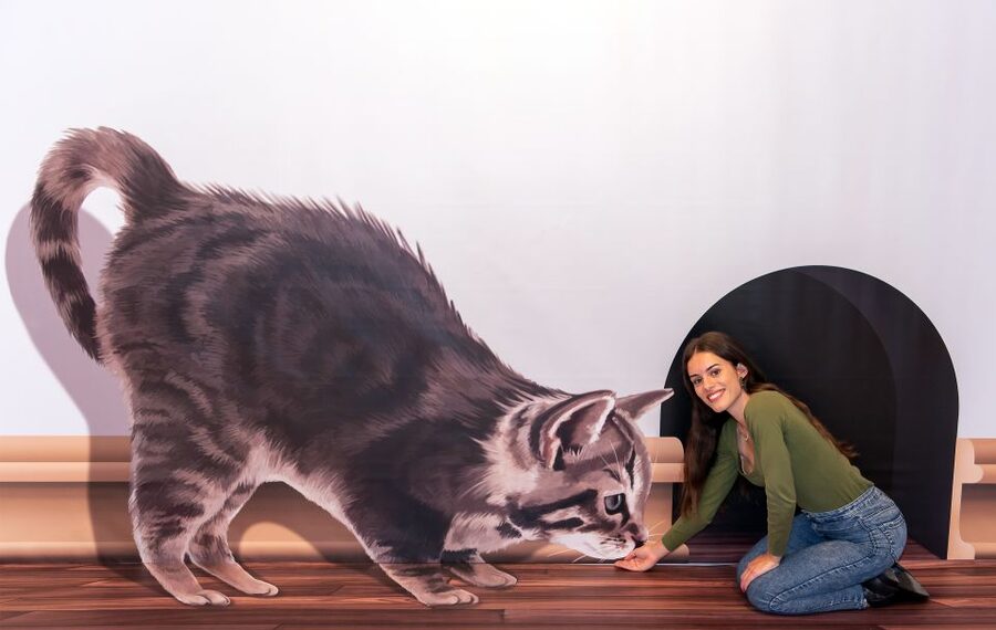 Funchal: 3D Fun Art Museum - Who will enjoy this most?