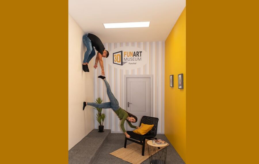 Funchal: 3D Fun Art Museum - From Van Gogh to a dinosaur pet