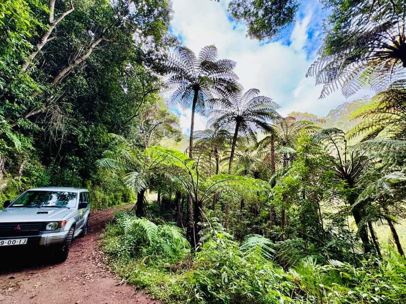 Funchal: 4x4 Jeep Trip to the East and Northeast of Madeira - High mountain scenery at Pico do Arieiro