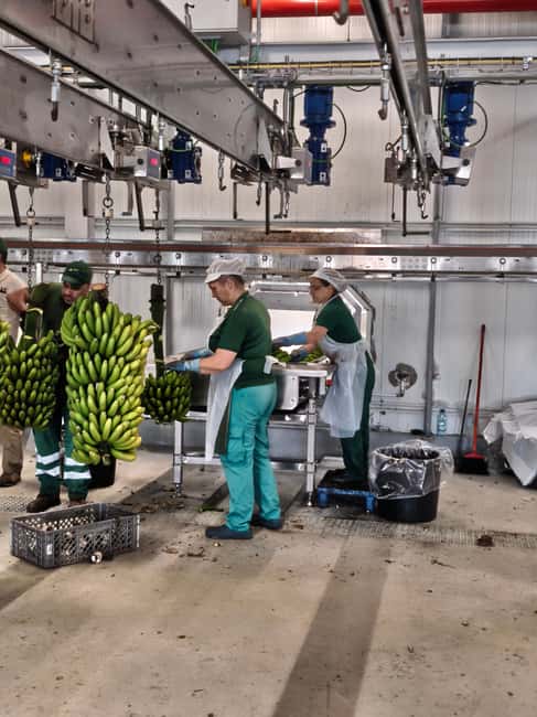 Funchal Agriculture Green Tour - Is $100 a fair price?