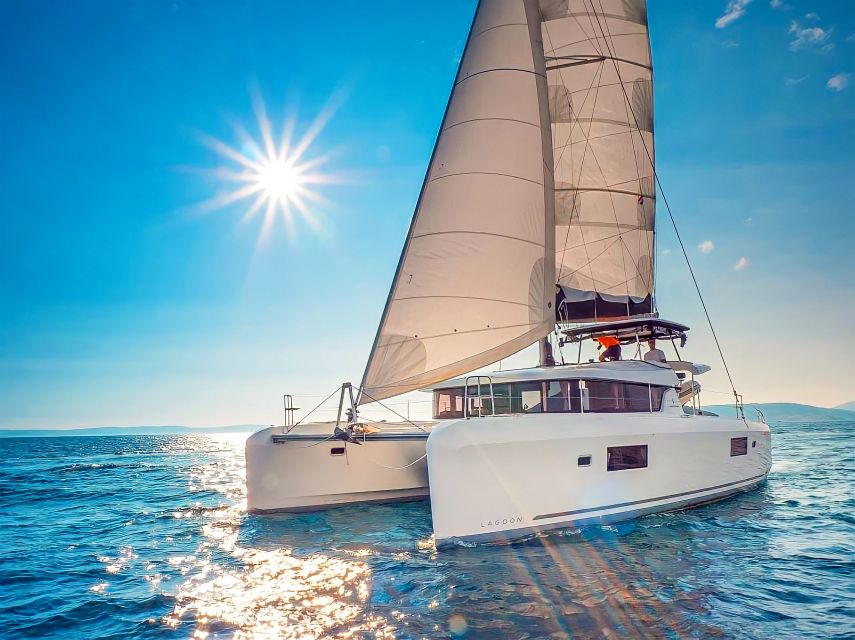 Funchal Bay: Dolphin & Whale Watch Luxury Catamaran Cruise - Key points before you book