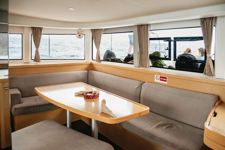Funchal Bay: Dolphin & Whale Watch Luxury Catamaran Cruise - The 45-minute return along Madeira’s coast