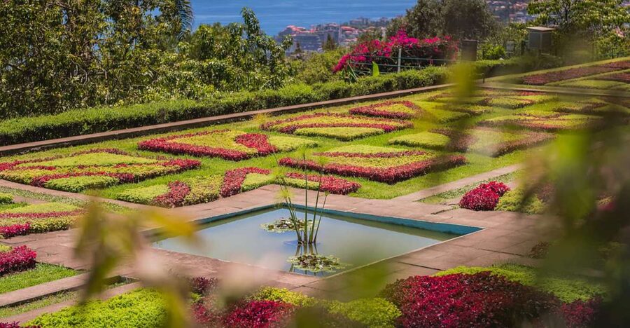 Funchal: Botanical Garden and Old Town Private Tuk-Tuk Tour - Why a tuk-tuk works so well in Funchal
