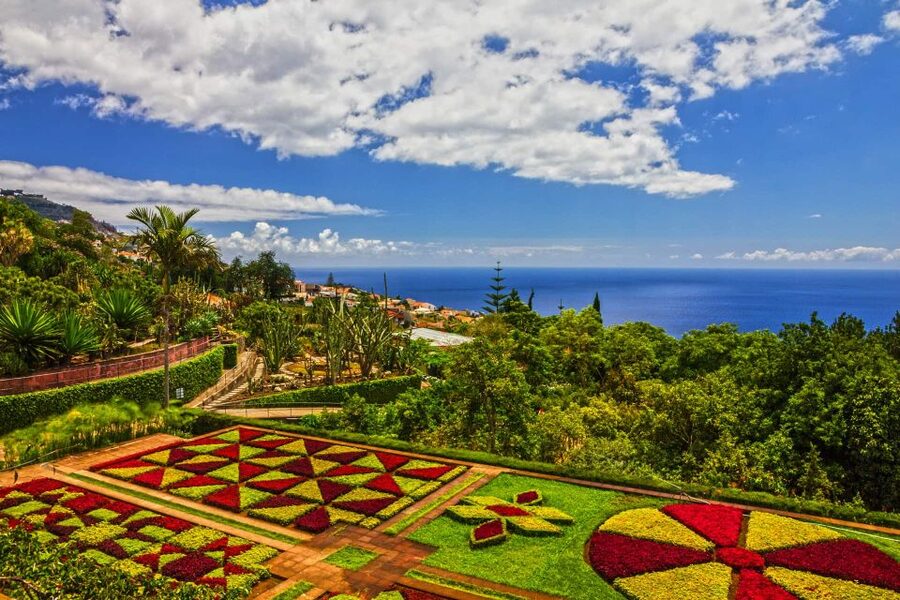 Funchal: Botanical Garden and Old Town Private Tuk-Tuk Tour - The uphill ride to Bom Sucesso
