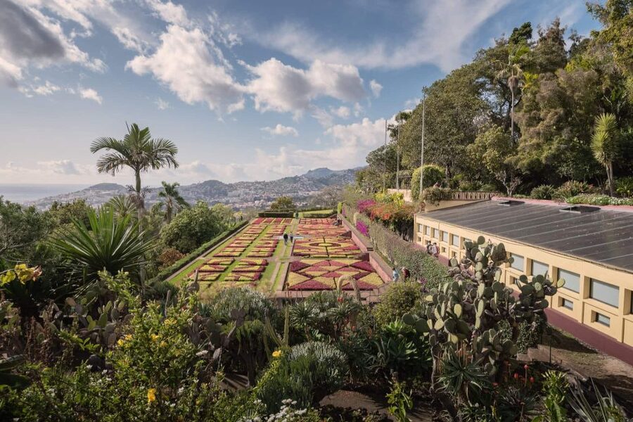 Funchal: Botanical Garden and Old Town Private Tuk-Tuk Tour - Returning through the old streets