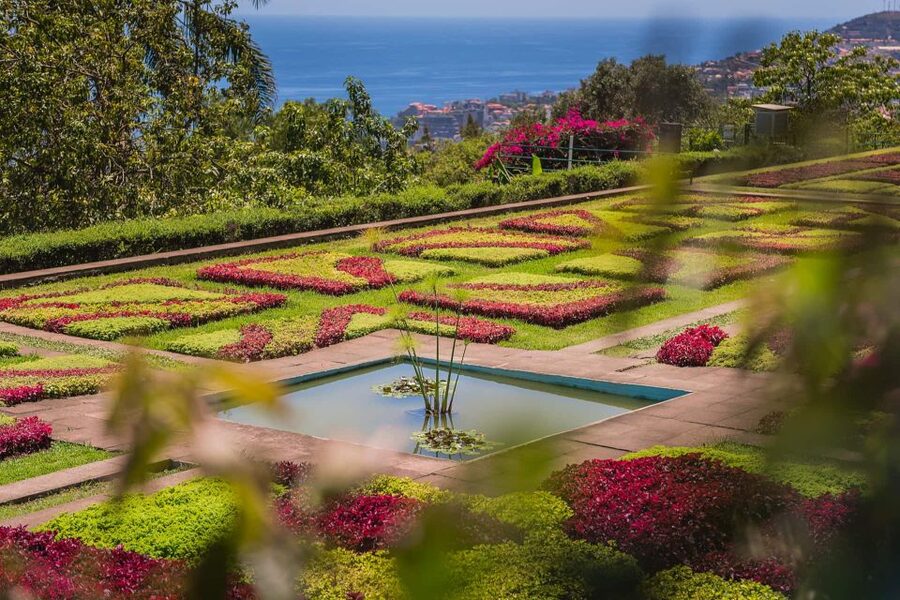 Funchal: Botanical Garden and Old Town Private Tuk-Tuk Tour - Starting in Zona Velha, Funchal’s oldest-feeling quarter