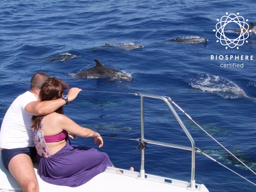 Funchal: Cabo Girão, Wines Tasting and Dolphins Watching - The 4x4 ride through Jardim da Serra