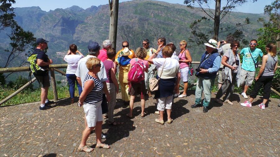 Funchal: Cabo Girão, Wines Tasting and Dolphins Watching - Madeira wine at Henriques & Henriques