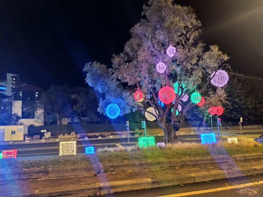 Funchal: Christmas Lights Sightseeing Night Tour - Is $41 a fair price?