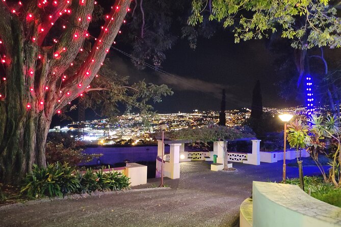 Funchal Christmas lights sightseeing night tour - Choosing your time and preparing for the cold