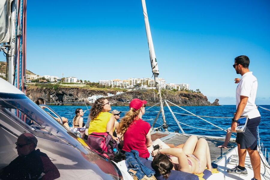 Funchal: Dolphin and Whale Watching by Luxury Catamaran - Practical tips for a better morning or afternoon