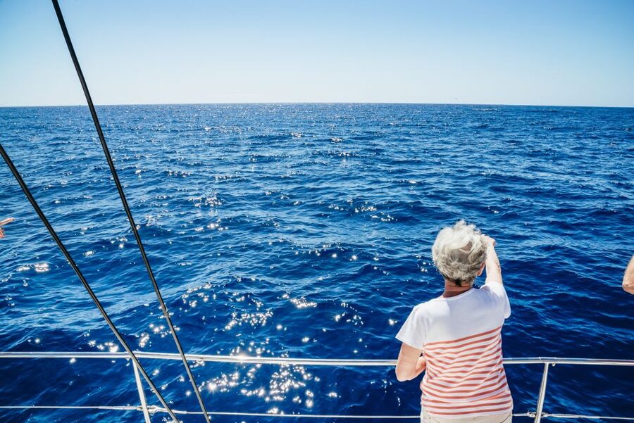 Funchal: Dolphin and Whale Watching by Luxury Catamaran - Setting out from Pier 8 in Funchal