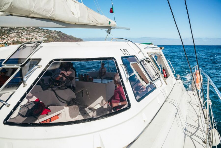 Funchal: Dolphin and Whale Watching by Luxury Catamaran - Watching Madeira’s marine life from Funchal Bay