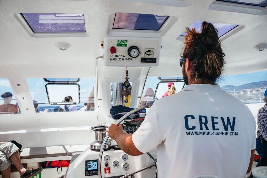 Funchal: Dolphin and Whale Watching by Luxury Catamaran - Why the wildlife experience can vary