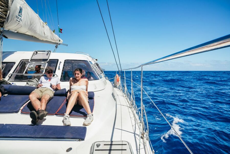 Funchal: Dolphin and Whale Watching by Luxury Catamaran - Cabo Girão and the swimming stop