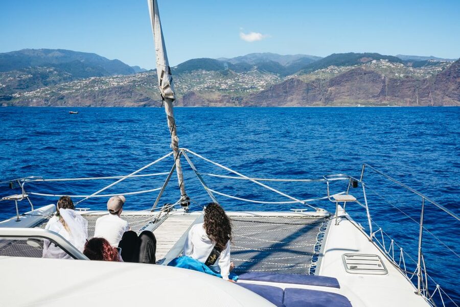 Funchal: Dolphin and Whale Watching by Luxury Catamaran - Is $47 a fair price?