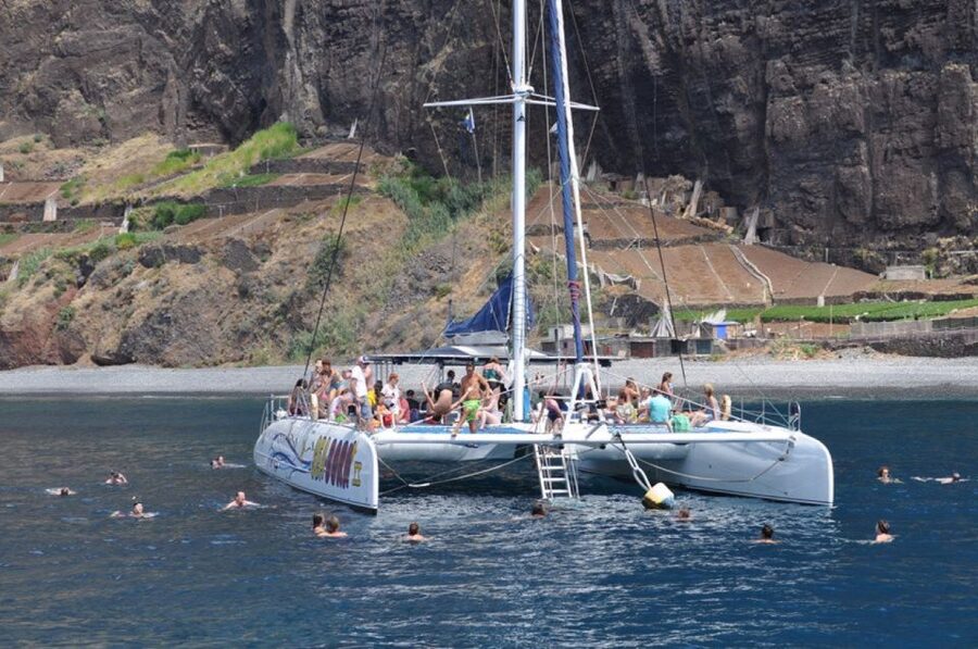 Funchal: Dolphin and Whale Watching Catamaran Cruise - Final verdict: book it for the whole outing, not a guarantee