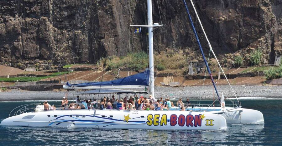 Funchal: Dolphin and Whale Watching Catamaran Cruise - How the seasons change the experience
