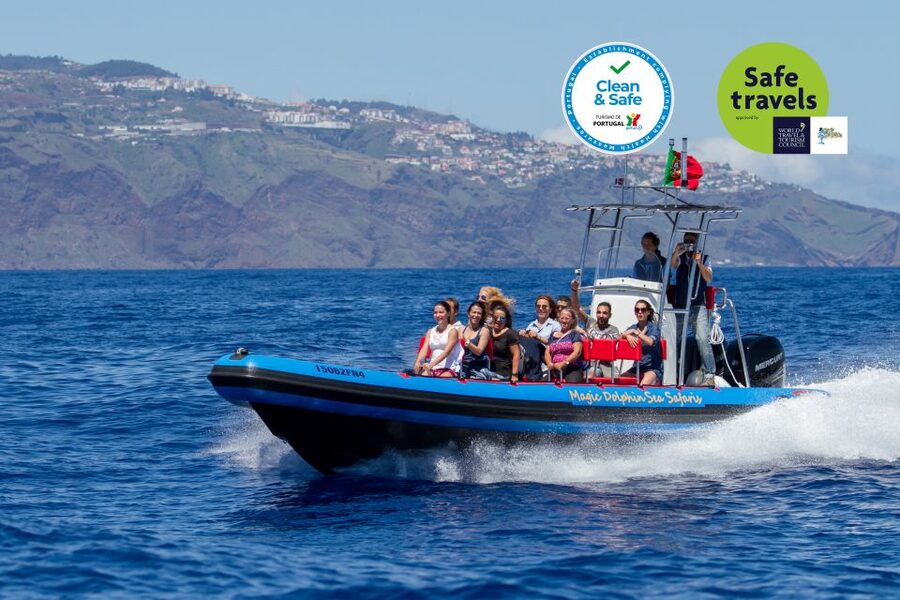 Funchal: Dolphin and Whale Watching Cruise - Starting at Magic Dolphin in Funchal