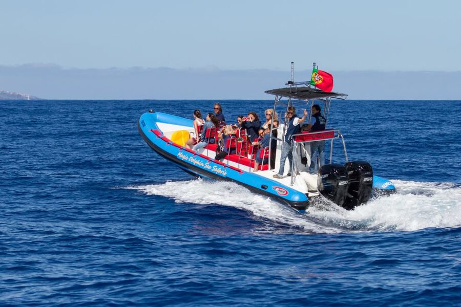 Funchal: Dolphin and Whale Watching Cruise - Who should book this boat trip?