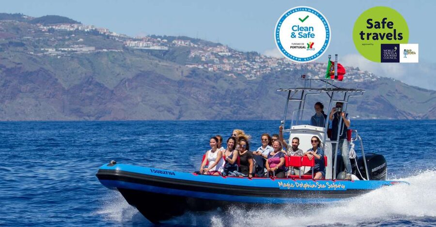 Funchal: Dolphin and Whale Watching Cruise - A fast ride along Madeira’s coast