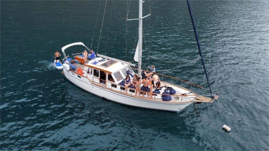 Funchal: Dolphin and Whale Watching Sailing Trip - Key points to know before you book