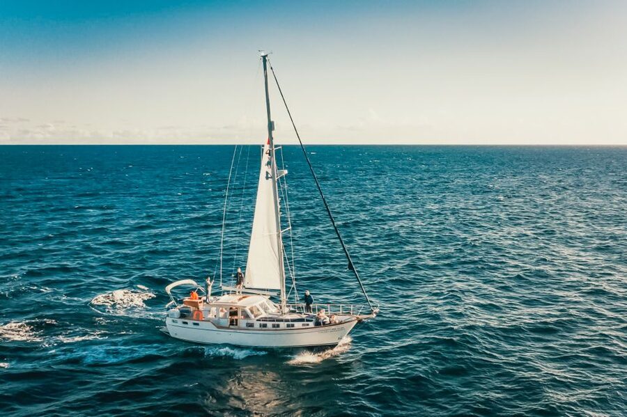 Funchal: Dolphin and Whale Watching Sailing Trip - Who should book this Madeira cruise?