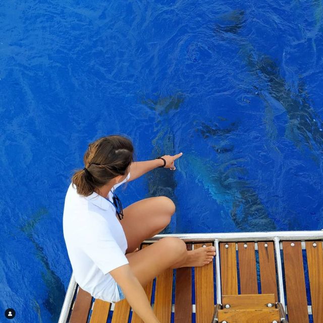 Funchal: Dolphin and Whale Watching Sailing Trip - Starting at Cais 8 in Funchal
