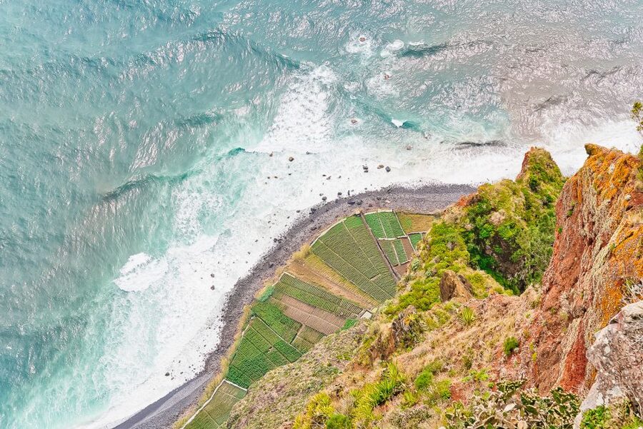 Funchal: Dolphin and Whale Watching Sailing Trip - What the wildlife search feels like