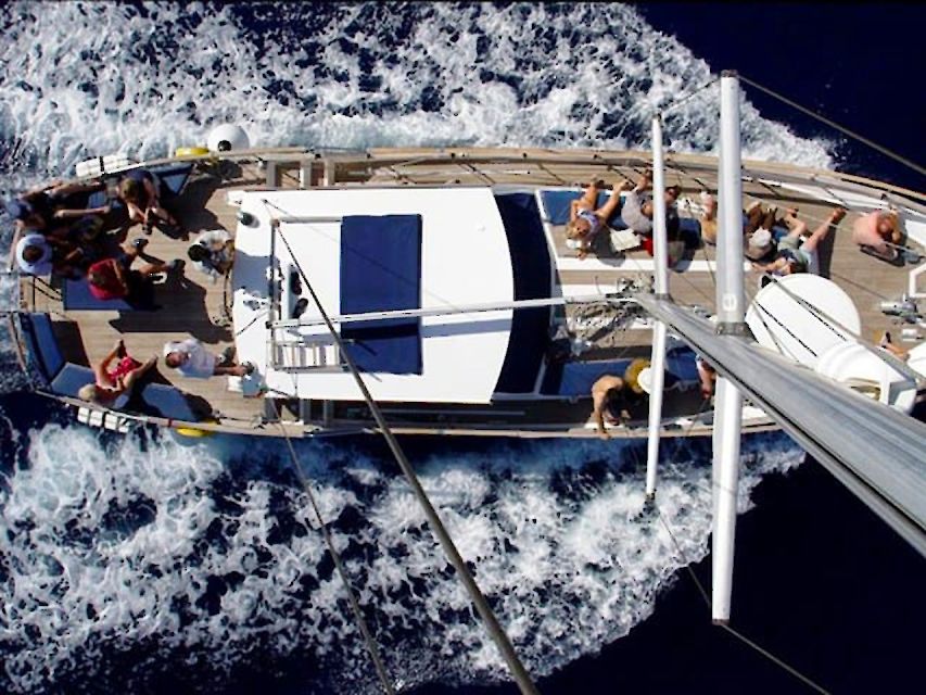 Funchal: Dolphin and Whale Watching Sailing Trip - The crew makes the difference