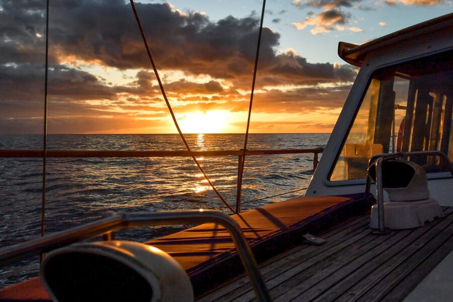 Funchal: Dolphin and Whale Watching Sunset Sailing Tour - Leaving Praça do Povo for open water
