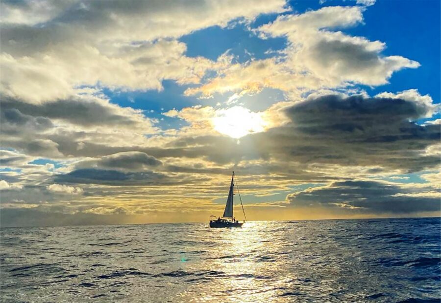 Funchal: Dolphin and Whale Watching Sunset Sailing Tour - Sunset, drinks, and the ride home