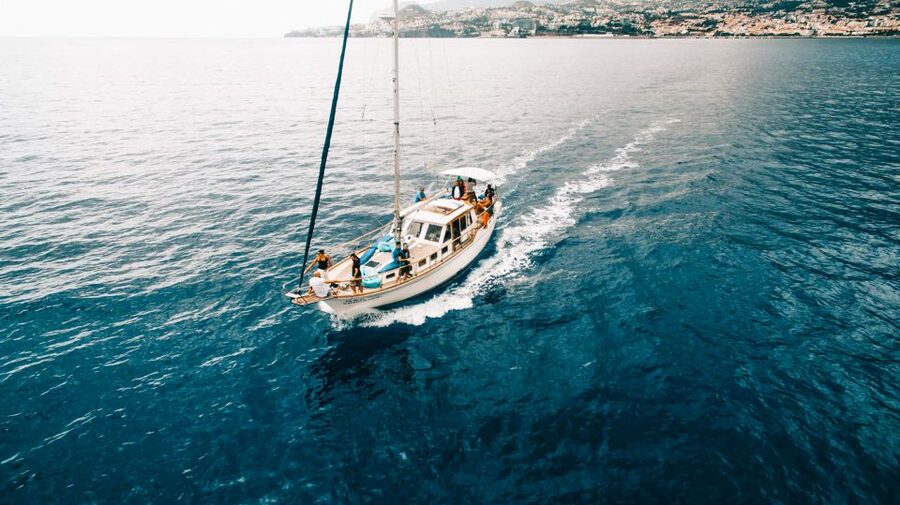 Funchal: Dolphin and Whale Watching Sunset Sailing Tour - Weather, cancellations, and flexible planning