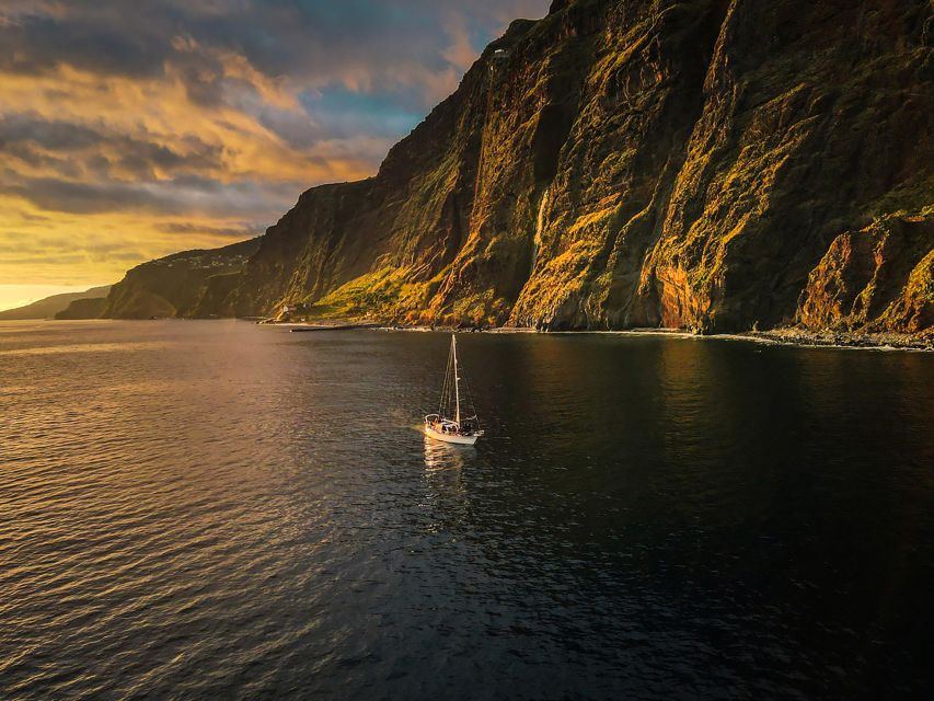 Funchal: Dolphin and Whale Watching Sunset Sailing Tour - Is Gaviao Madeira’s sunset sail worth booking?