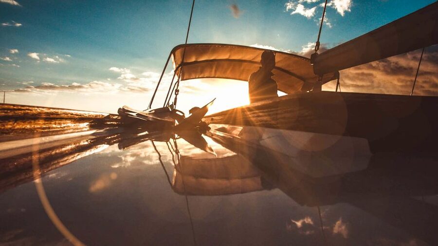 Funchal: Dolphin and Whale Watching Sunset Sailing Tour - Searching for dolphins, whales, and turtles