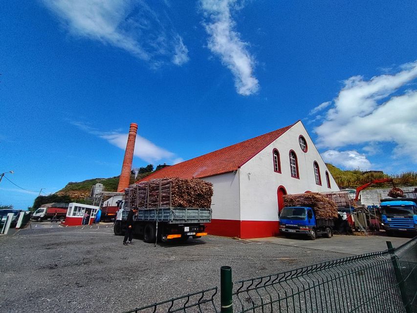 Funchal: East Madeira Island Guided Tour & Laurissilva Walk - Santana and Madeira’s famous thatched houses