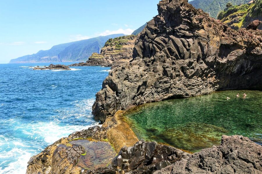 Funchal: Enchanted Terraces, Porto do Moniz & Fanal 4WD Tour - Fanal Forest and the old Laurissilva trees
