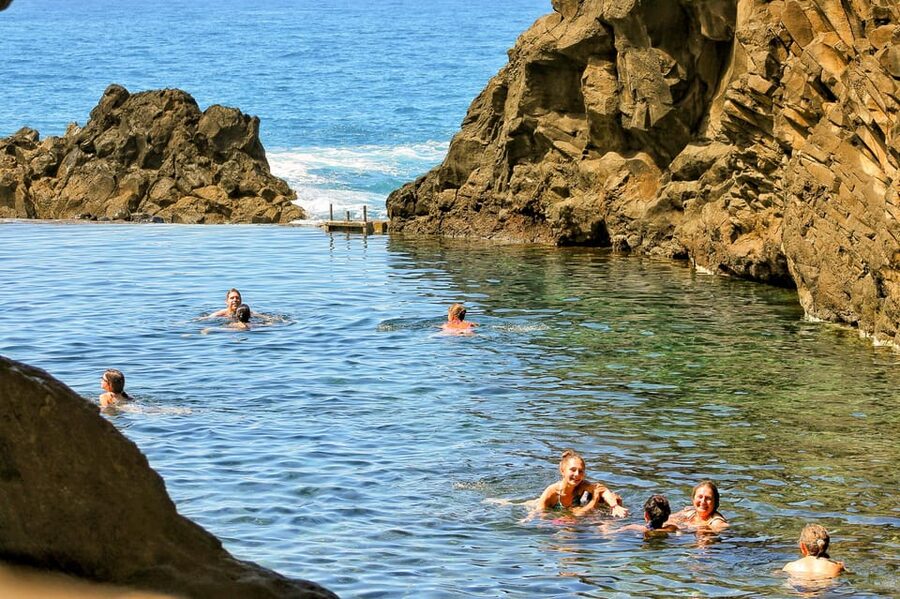 Funchal: Enchanted Terraces, Porto do Moniz & Fanal 4WD Tour - What the guide adds to the day
