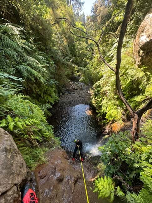 Funchal: Explore Canyoning Level 1 Rochão - Key points to know before you book