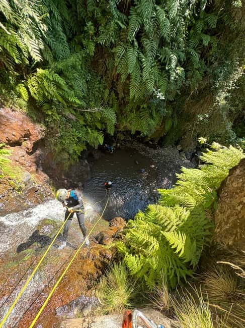 Funchal: Explore Canyoning Level 1 Rochão - Entering the Ecological Park of Funchal