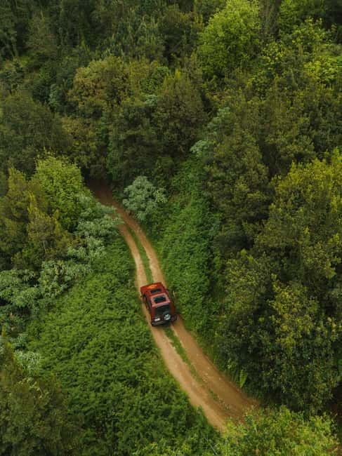 Funchal: Full-day Off-road Tour in West Madeira with Pickup - Ponta do Sol closes the circuit