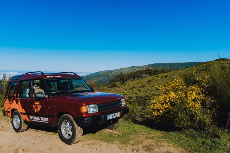Funchal: Full-day Off-road Tour in West Madeira with Pickup - The guides make a real difference