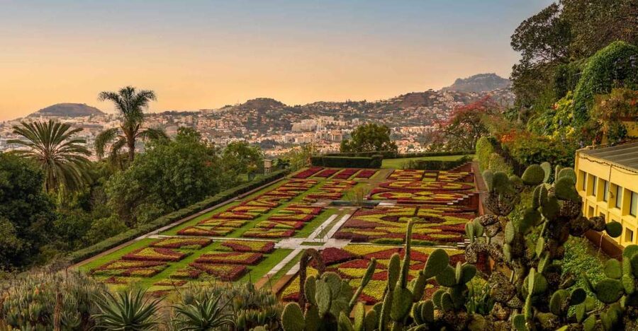Funchal: Guided Old Town Tuk Tuk Tour and Botanical Gardens - The Workers’ Market and cathedral