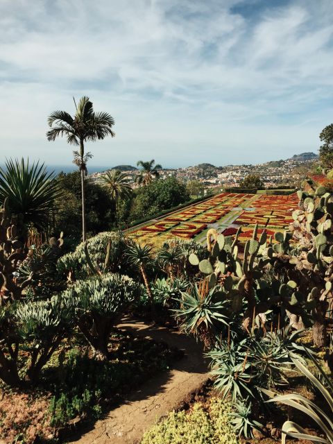Funchal: Guided Old Town Tuk Tuk Tour and Botanical Gardens - Starting with Funchal’s Old Town