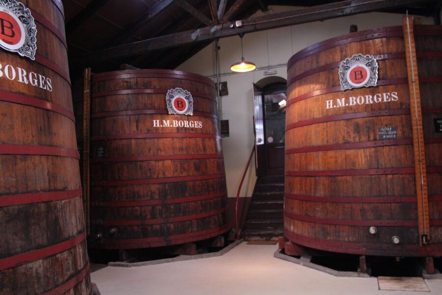 Funchal: H.M. Borges Winery Guided Tour with Wine Tasting - The guides make the difference