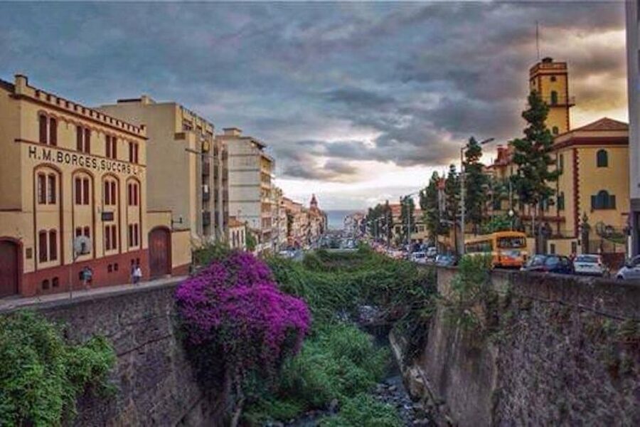 Funchal: H.M. Borges Winery Guided Tour with Wine Tasting - Who should book this Funchal winery tour?