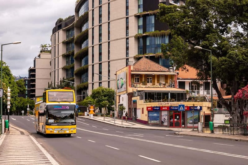 Funchal:Hop-on Hop-off Bus & Whale & Dolphin boat Excursion - Who gets the best value from this tour