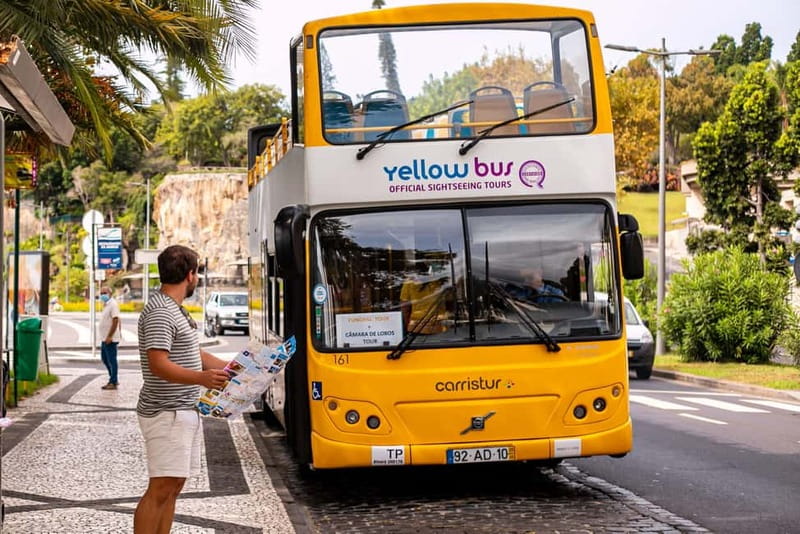 Funchal:Hop-on Hop-off Bus & Whale & Dolphin boat Excursion - Why this land-and-sea pairing works in Funchal