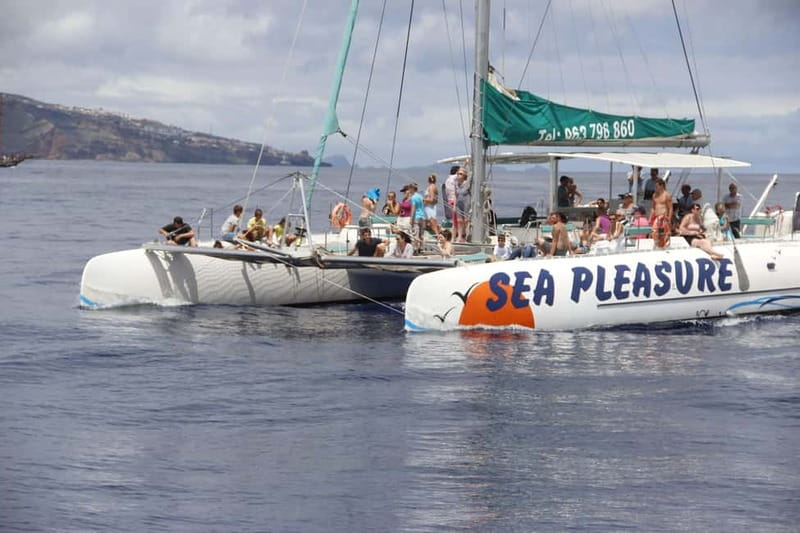 Funchal:Hop-on Hop-off Bus & Whale & Dolphin boat Excursion - Exploring Funchal from stop 1 to stop 12