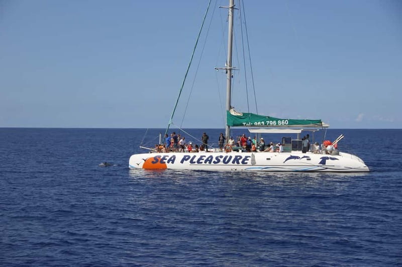 Funchal:Hop-on Hop-off Bus & Whale & Dolphin boat Excursion - Madeira wine and embroidery without extra admission